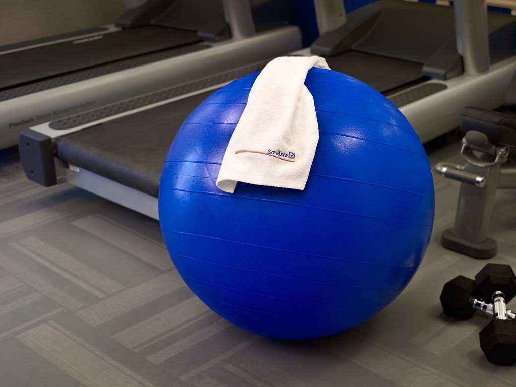 Sonesta Hotel Ibagué 设施 照片 An exercise ball